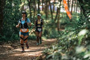 BIB: 
                            <button type="button" onclick="openModal(25336298)" class="btn btn-primary btn-sm float-right btn-popup" data-toggle="modal" data-target=".modal-high-quality">
                        <i class="fas fa-shopping-cart"></i> Add to Cart
                    </button>
                                            <button type="button" onclick="isThisMe(25336298, true)" class="btn btn-success btn-sm float-right btn-popup btn-isme hidden" data-toggle="tooltip" data-placement="bottom" title="นี่คือรูปของคุณใช่ไหม คลิกที่นี่เพื่อเอาเข้าอัลบั้ม">
                        <i class="fas fa-plus"></i> Add to album
                    </button>
                    <button type="button" onclick="isThisMe(25336298, false)" class="btn btn-warning btn-sm float-right btn-popup btn-isnotme hidden">
                        <i class="fas fa-ban"></i> Remove from album
                    </button>